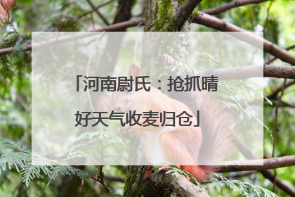 河南尉氏：抢抓晴好天气收麦归仓