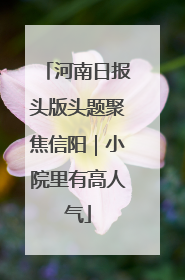 河南日报头版头题聚焦信阳｜小院里有高人气