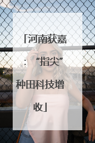 河南获嘉：“指尖”种田科技增收