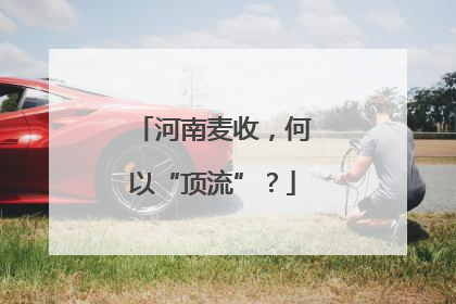 河南麦收，何以“顶流”？