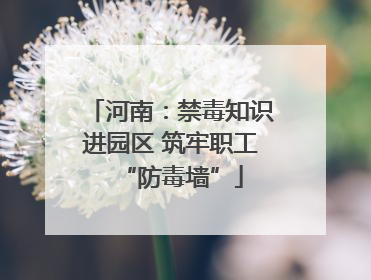 河南：禁毒知识进园区 筑牢职工“防毒墙”
