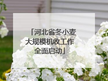 河北省冬小麦大规模机收工作全面启动