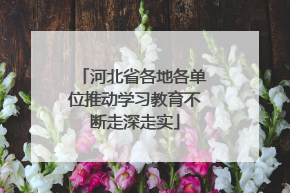 河北省各地各单位推动学习教育不断走深走实