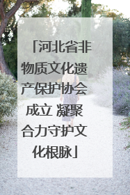 河北省非物质文化遗产保护协会成立 凝聚合力守护文化根脉