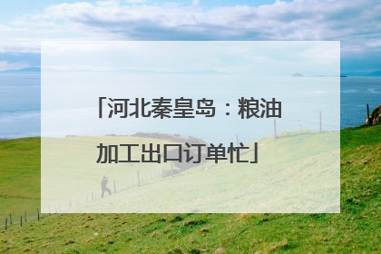 河北秦皇岛：粮油加工出口订单忙