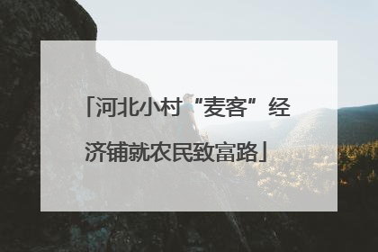 河北小村“麦客”经济铺就农民致富路