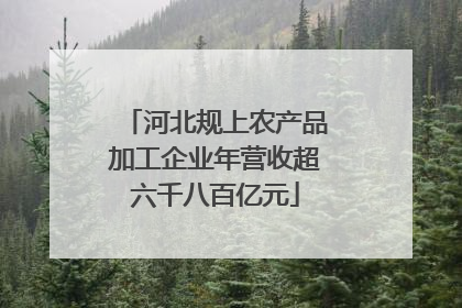 河北规上农产品加工企业年营收超六千八百亿元