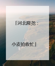 河北隆尧：小麦抢收忙