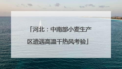 河北：中南部小麦生产区遭遇高温干热风考验