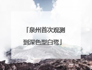 泉州首次观测到深色型白鹭