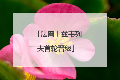 法网丨兹韦列夫首轮晋级