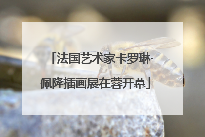 法国艺术家卡罗琳·佩隆插画展在蓉开幕