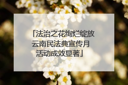 法治之花绚烂绽放 云南民法典宣传月活动成效显著