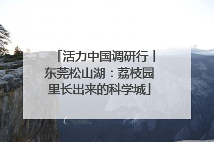 活力中国调研行丨东莞松山湖：荔枝园里长出来的科学城