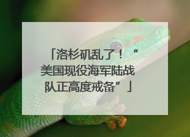 洛杉矶乱了！“美国现役海军陆战队正高度戒备”