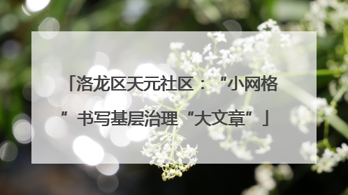洛龙区天元社区：“小网格”书写基层治理“大文章”