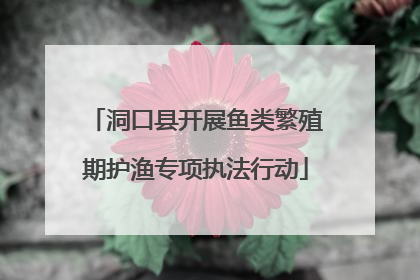 洞口县开展鱼类繁殖期护渔专项执法行动