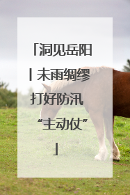 洞见岳阳丨未雨绸缪 打好防汛“主动仗”