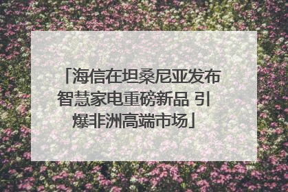海信在坦桑尼亚发布智慧家电重磅新品 引爆非洲高端市场