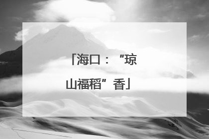 海口：“琼山福稻”香