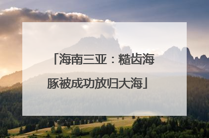 海南三亚：糙齿海豚被成功放归大海