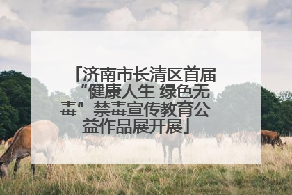 济南市长清区首届“健康人生 绿色无毒”禁毒宣传教育公益作品展开展