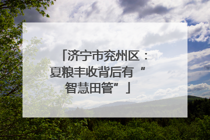 济宁市兖州区：夏粮丰收背后有“智慧田管”