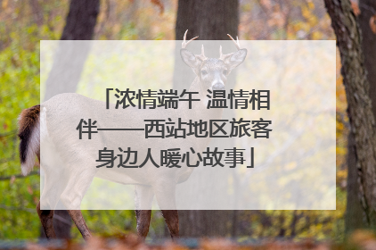 浓情端午 温情相伴——西站地区旅客身边人暖心故事
