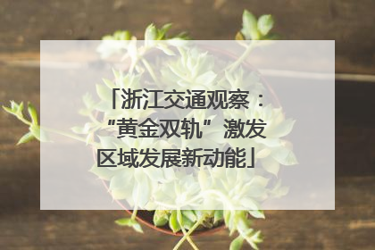 浙江交通观察：“黄金双轨”激发区域发展新动能