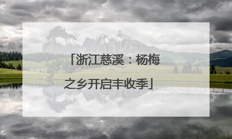 浙江慈溪：杨梅之乡开启丰收季