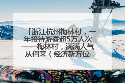 浙江杭州梅林村,一年接待游客超5万人次——梅林村,满满人气从何来(经济新方位·农村消费观察)