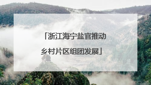 浙江海宁盐官推动乡村片区组团发展