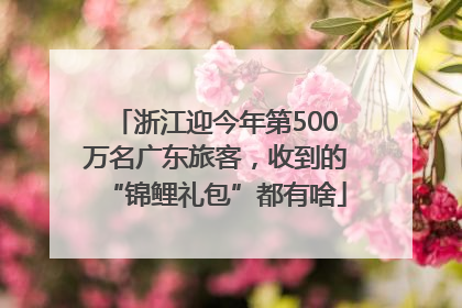 浙江迎今年第500万名广东旅客，收到的“锦鲤礼包”都有啥