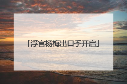 浮宫杨梅出口季开启