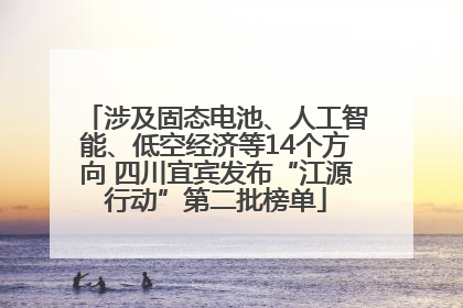 涉及固态电池、人工智能、低空经济等14个方向 四川宜宾发布“江源行动”第二批榜单