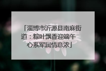 淄博市沂源县南麻街道：粽叶飘香迎端午 心系军属情意浓