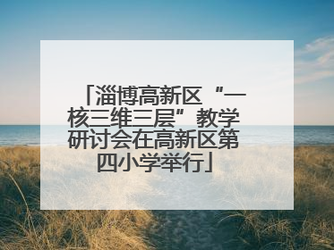 淄博高新区“一核三维三层”教学研讨会在高新区第四小学举行