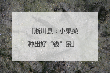 淅川县：小果桑种出好“钱”景