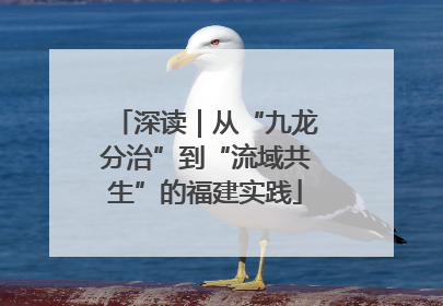 深读｜从“九龙分治”到“流域共生”的福建实践