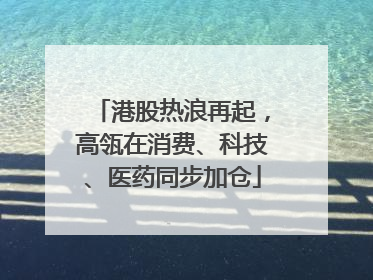 港股热浪再起，高瓴在消费、科技、医药同步加仓