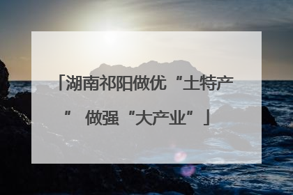 湖南祁阳做优“土特产” 做强“大产业”