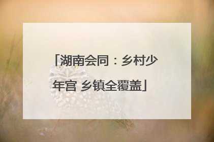 湖南会同：乡村少年宫 乡镇全覆盖