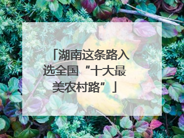 湖南这条路入选全国“十大最美农村路”
