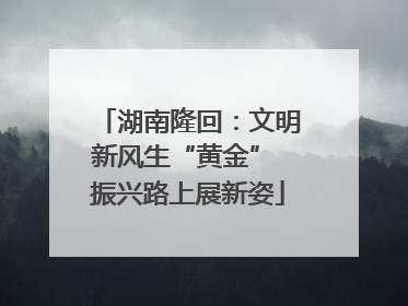 湖南隆回：文明新风生“黄金” 振兴路上展新姿