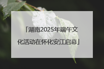 湖南2025年端午文化活动在怀化安江启幕