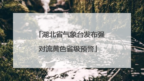 湖北省气象台发布强对流黄色省级预警
