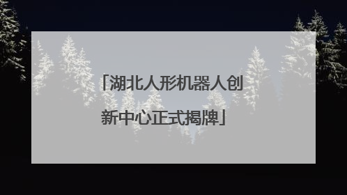 湖北人形机器人创新中心正式揭牌