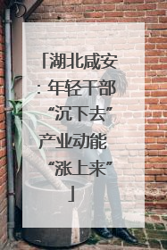 湖北咸安：年轻干部“沉下去” 产业动能“涨上来”