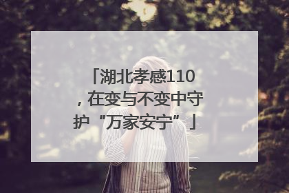 湖北孝感110，在变与不变中守护“万家安宁”