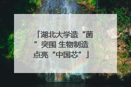湖北大学造“菌”突围 生物制造点亮“中国芯”
